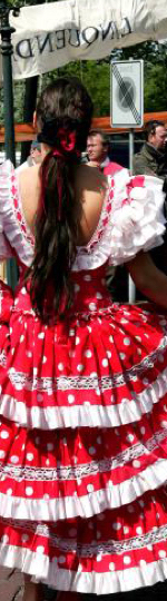 Themafeest Spaanse feest 