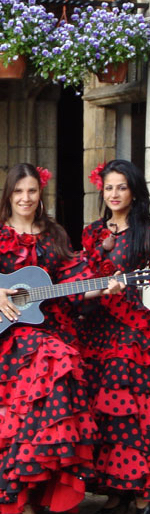 Themafeest Spaanse feest 